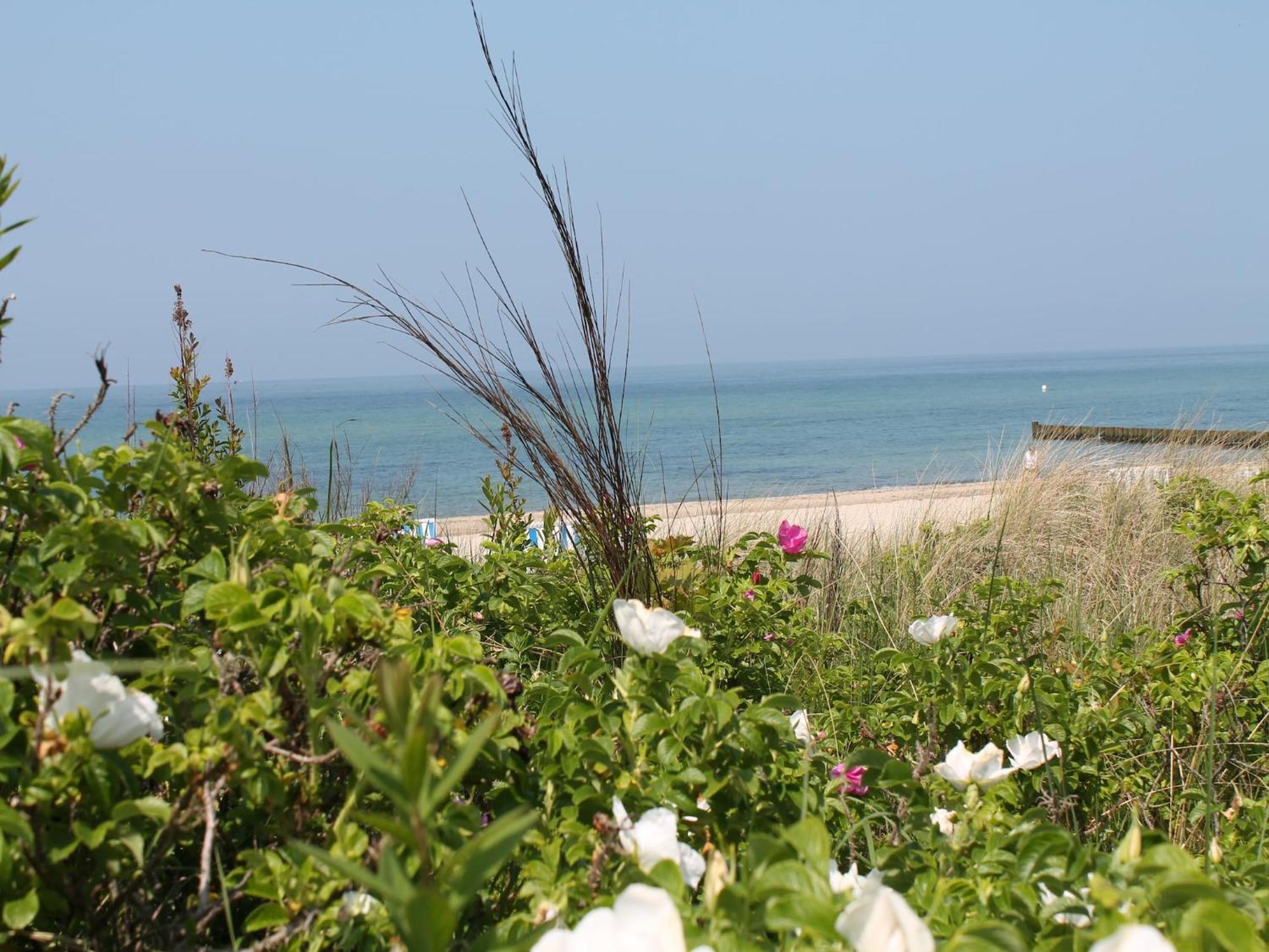 Comfortable Near Seabeach In Apartment *